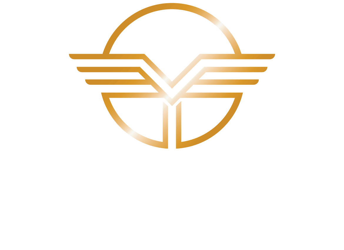 valkyrie Dog Training logo.png